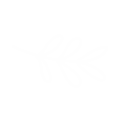annisuvisuo giphyupload leaf minimalist suvisuo Sticker