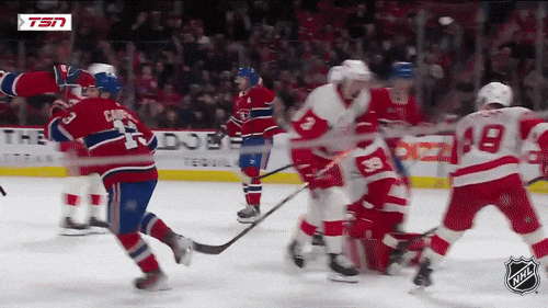 Happy National Hockey League GIF by NHL