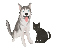 Black Cat Sticker
