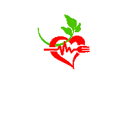 actifood food vegan comida salud Sticker