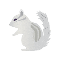 Naz Sticker by Nazareth College