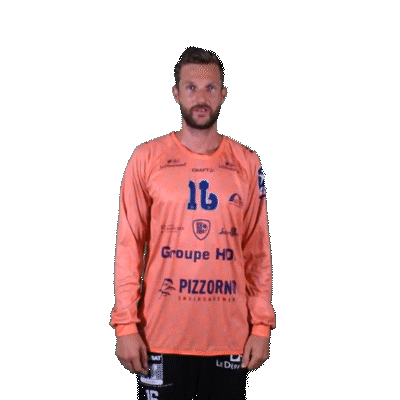 Robin Celebrating Sticker by Saint-Raphaël Var Handball