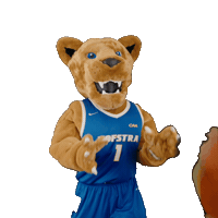 New York Basketball Sticker by Hofstra University
