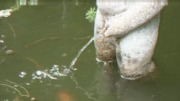 Fancy Fountains, BRB