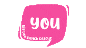 Good Boy Sticker by Big Dog Ranch Rescue