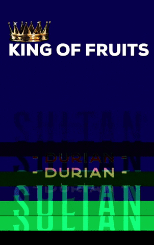duriansultan sultan durian musangking sultans GIF