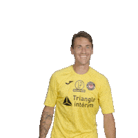 toulousefc football soccer club fifa Sticker