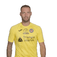 toulousefc football soccer club fifa Sticker