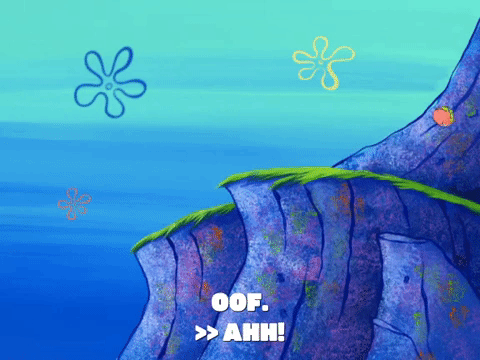 season 6 pet or pets GIF by SpongeBob SquarePants