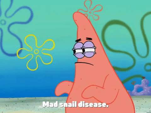 new leaf episode 13 GIF by SpongeBob SquarePants