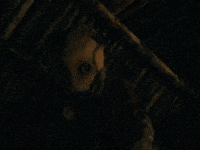 Tv Show Horror GIF