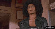 Pam Grier 70S GIF by Turner Classic Movies