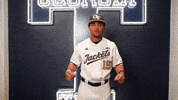 Georgia Tech Baseball GIF by Georgia Tech Yellow Jackets
