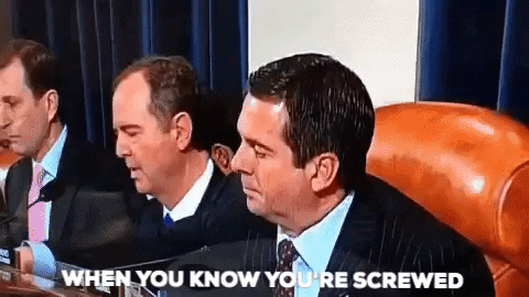 lindseyculli giphygifmaker impeachment nunes inquiry impeachmentinquiryday4 GIF