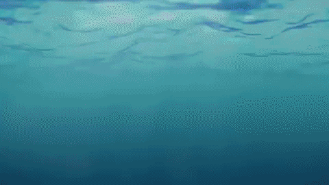 Decortes giphygifmaker GIF