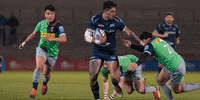 SaleSharks rugby sale sharks salesharks gallagherprem GIF