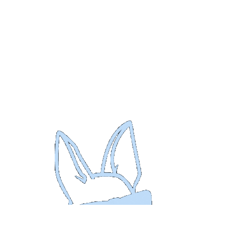 PawsForWalks giphygifmaker dog light blue dog walker Sticker