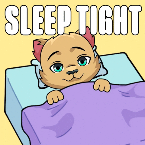 Sweet Dreams Sleeping GIF by Kabu
