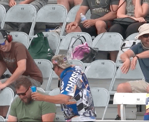 Sport Racing GIF by NASCAR