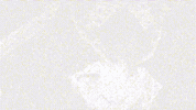 Hololive GIF