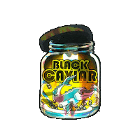 Black Caviar Hfa Sticker by Happy Feelings™ Amsterdam