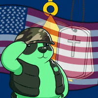 American Flag America GIF by SuperVerse