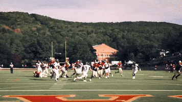College Football GIF by Norwich University