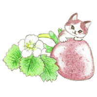 Happy Cat Sticker