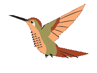 Phxdw Sticker by Phoenix Design Week