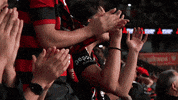 Western Sydney Wanderers Cheering GIF by wswanderersfc