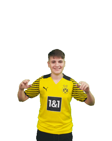 Efootball Eldin Sticker by Borussia Dortmund
