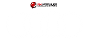 Motor Tuning Sticker by RH Módulos