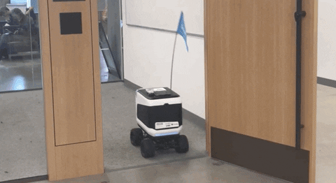 Studying Bay Area GIF by Kiwibot