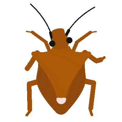 Agro Sticker by Strider