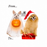 Christmas Celebration GIF by Old Dominion Realty