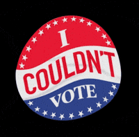 Election Day Vote GIF