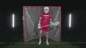 Mlax GIF by Richmond Spiders
