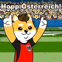World Cup 2026 Fifa GIF by Dogelon Mars