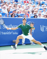 cincytennis tennis cincinnati atp djokovic GIF