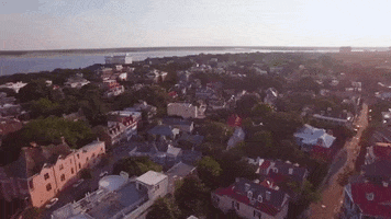 south carolina GIF