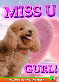 Valentines Day Love GIF by PetJuvenate - PJ