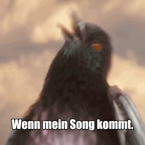song strom GIF