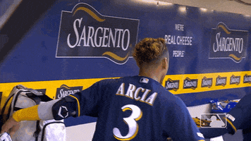 major league baseball sport GIF by MLB