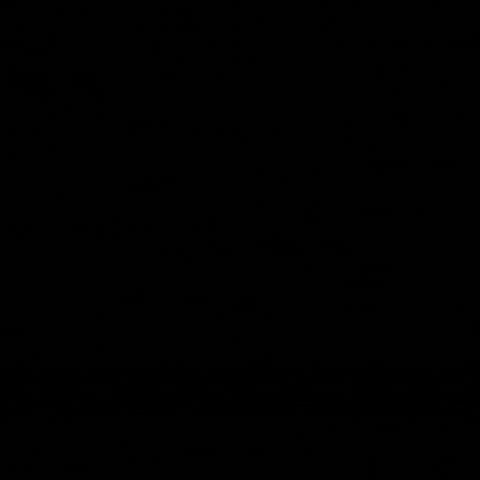 Oddball GIF by OddballRandall