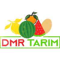 Dmr Tarim Sticker by AFC TARIM