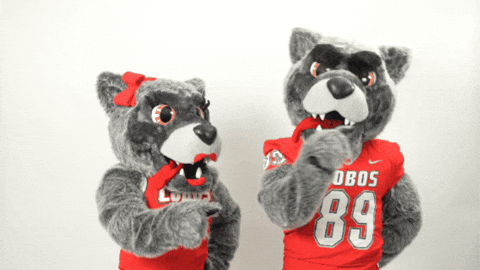 New Mexico Mascots GIF by UNM