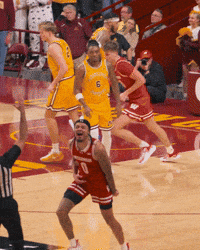 Lets Go Celebration GIF by Wisconsin Badgers