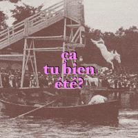 Horse Freefalling GIF