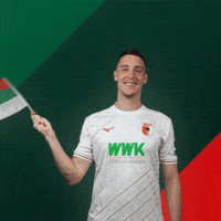 Flag Fans GIF by FC Augsburg 1907