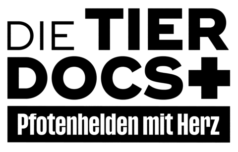 Dtd25 Sticker by JustFriends